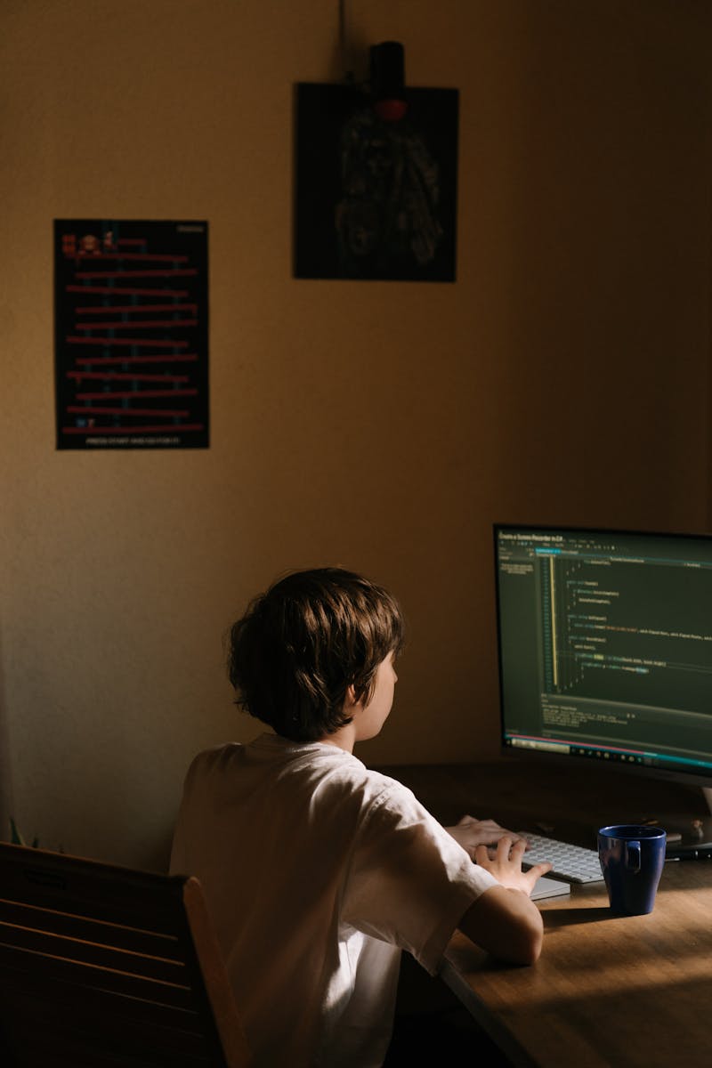 Private Python Tutoring